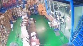 Monitor lizard rampages through factory and chases terrified workers away