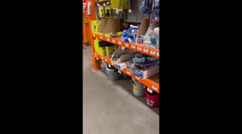 Leo the boxed-in cat: a cozy spot amongst shelves in Burlington County