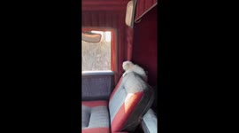 Russian trucking adventures: 'navigator' cat takes the co-pilot seat!