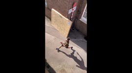 Cambridge stunt climber faces neighborhood backlash!