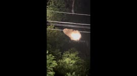 Zooming Sloth