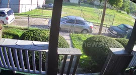 Cat Learns That He Can't Fly