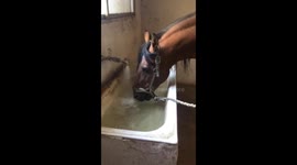 He Wants That Fresh Spring Water