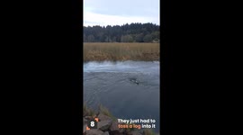 8 Incredible Moments Showcasing the Power of Water