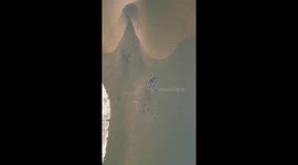 Hippos From Above In The Zambezi River