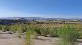 Green belt on rim of China's largest desert