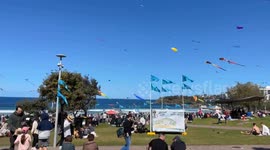 Hundreds of kites line the sky during Festival of the Winds in Sydney