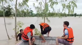 Resident stranded in floods clings to tree for 14 hours before being rescued