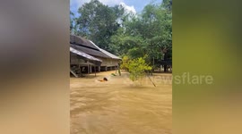 Woman swims through flooded village following heavy rain in Thailand