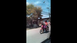 Three pet dogs ride on motorcycle together with their owner