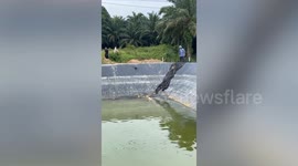 Farmer climbed into reservoir to rescue stray dog that fell into water