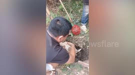 Residents rescue puppy trapped in bottom of abandoned well