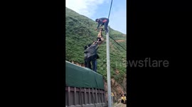 Goat rescued from dangling 6-metre high power line in southern China