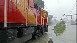 Rainfall turns streets into rivers in north Indian cities