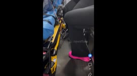 Knees Aren't Supposed To Do That