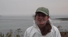 Seabirds impacted by bird flu on Farne Islands, UK