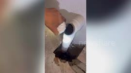 Kitten rescued after becoming trapped in drain pipe in India