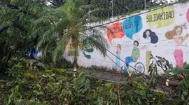 Lluvias con fuertes vientos causaron estragos en la cabecera departamental de Escuintla, Guatemala