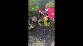 Stray dog with plastic tub on head and stuck in river rescued by locals