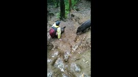 Close encounter: fearless friend sniffed by curious boar on Mount Cikuray