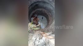 Pet dog stuck under unfinished well rescued by owner and friends