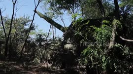 Russia claims to have Ukrainian fortified areas using self-propelled howitzers