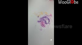 Artist creates a beautiful butterfly-wing pattern on a vase using paints and cling wrap