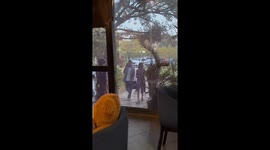 'It was emotional!' - Man returns home after 3+ years to celebrate sister's birthday