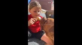 Kindhearted girl helps doggo combat summer heat by treating it to ice cream