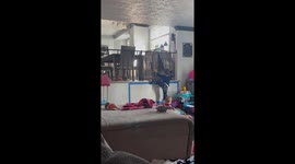 Little boy proves himself the ultimate escape artist by escaping upstairs through spindles