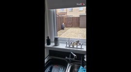 Woman's scare prank fail on husband makes her realize she has to up her game