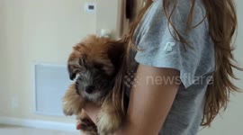 Surprising Student Siblings With A Puppy