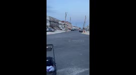 Drunk dad shows up with a stranger's dog on leash *Crazy Drunk Adventure*