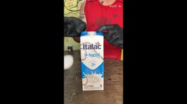 Recycling enthusiast seamlessly turns milk carton into a miniature ambulance