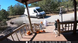 Package Delivery Driver Loses His Cool on Halloween Decorations (ID: 250382048)
