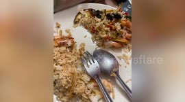 Shocked customer finds live cockroach crawling on food delivery