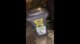 Man Interrupts Rats Having a Moment