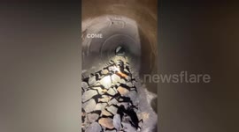 Police officer crawls into pipe to rescue injured dog in Washington
