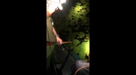 Florida family ecstatic after catching huge 6-foot alligator for their dinner