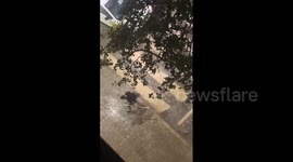 Spain: Severe Storms Bring Hail, Flooding To Parts Of Valencia