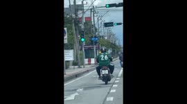 Parrots sits on motorcycle rider's shoulder while cruising through traffic