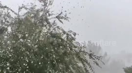 US: Storm Systems Bring Heavy Rains And Powerful Winds To Phoenix Met Area