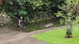 Thailand’s oldest hippopotamus celebrates 58th birthday with festive party at zoo