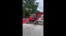 Wild monkeys commandeer digger working on road repairs