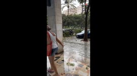 Trees and cars on collision course amid 
INTENSE storm in Palma, Spain