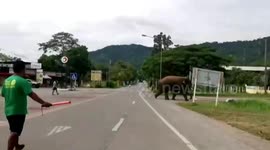 Pupils run in terror when wild elephant approaches school field in Thailand