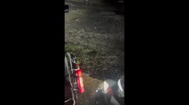 Locals collect oysters late at night from beach in China