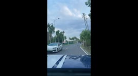 Clumsy scooter rider narrowly avoids oncoming car and plunges into ditch while apologising