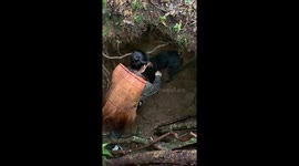 Hero hiker saves two dogs trapped in forest pit in China