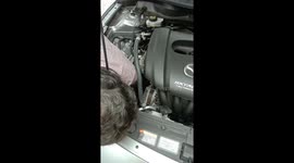 Two newborn kittens rescued from car engine